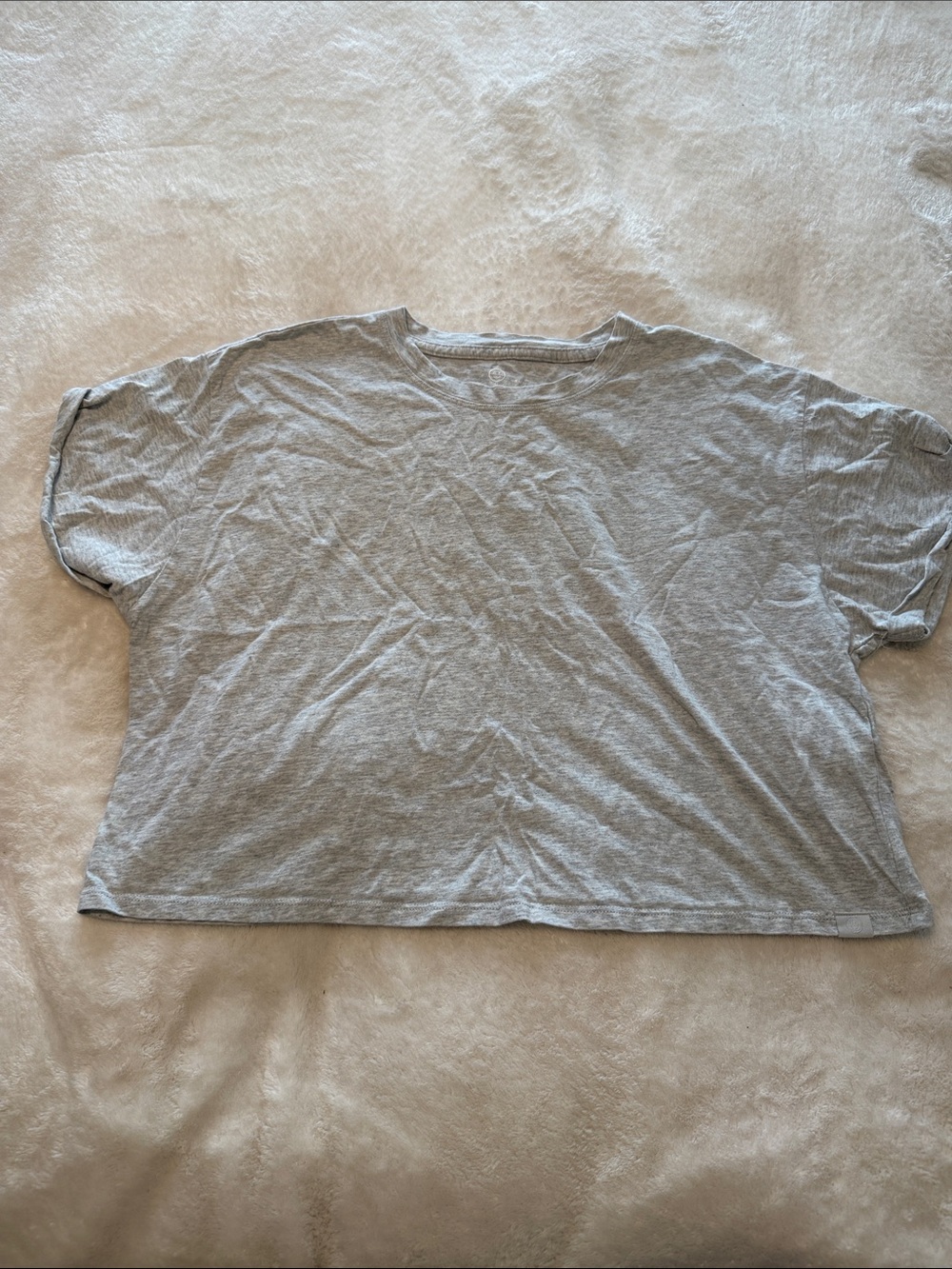 Gilly Hicks Light Gray Cropped Crewneck Tee